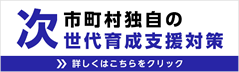 次市町村独自の世代育成支援対策